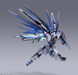 METAL BUILD 機動戦士ガンダムSEED ASTRAY フリーダムガンダム CONCEPT 2